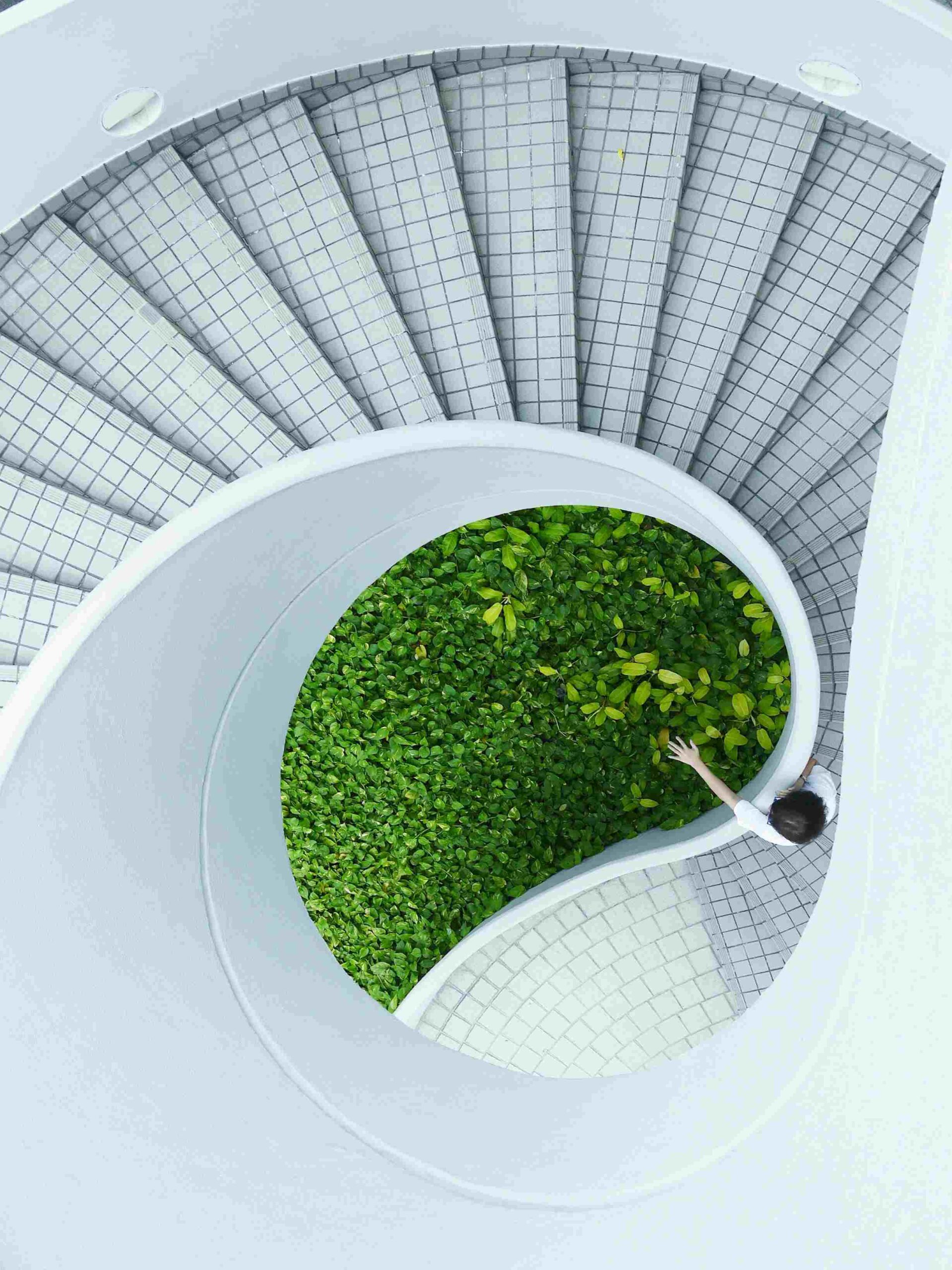 financement-projets-ecologiques-scaled Le financement des projets écologiques : défis et solutions