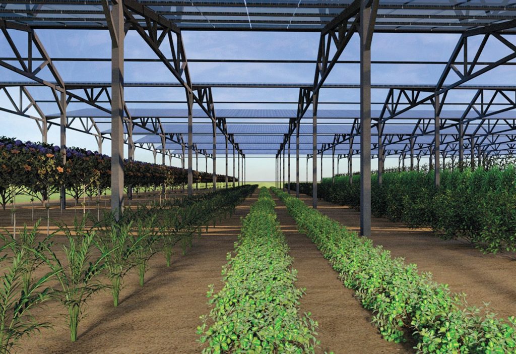 découvrez les avantages d'une serre solaire pour cultiver vos plantes tout en optimisant l'usage de la lumière naturelle. transformez votre jardin en un espace de croissance durable et profitez d'une production végétale améliorée tout au long de l'année.