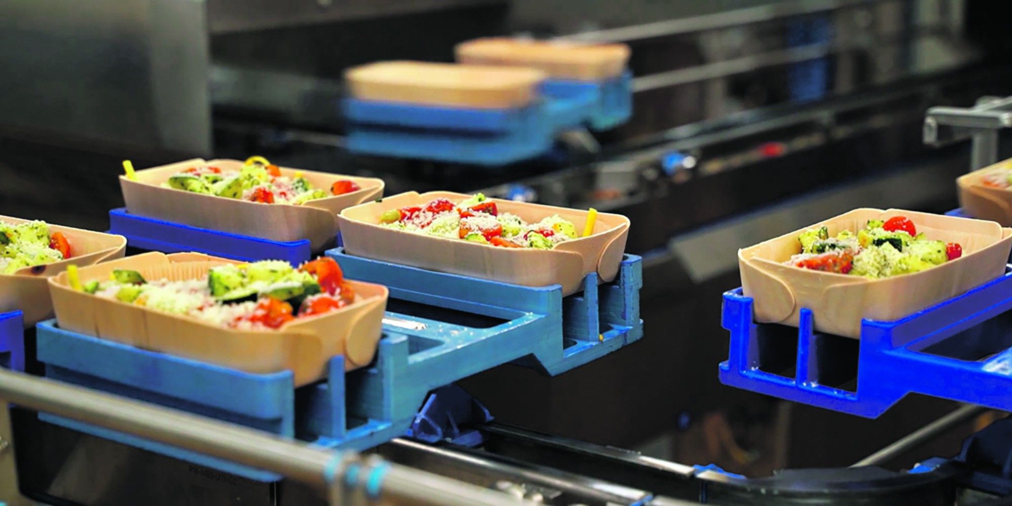 découvrez comment dire adieu au plastique dans notre vie quotidienne. explorez des alternatives durables et des solutions innovantes pour réduire votre empreinte écologique tout en préservant notre planète.