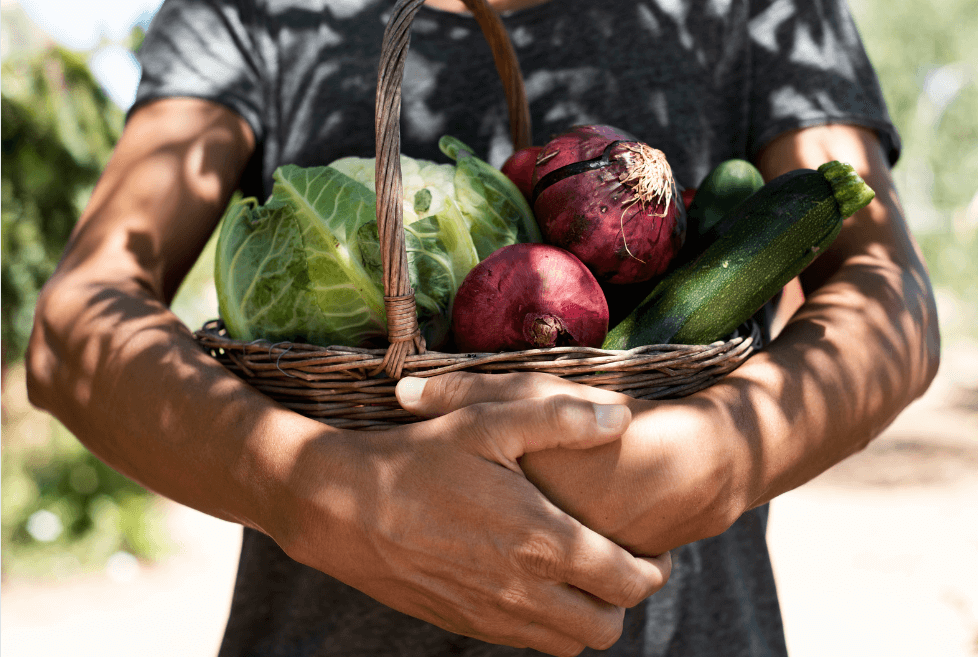 découvrez les principes de la gastronomie durable, alliant respect de l'environnement et plaisir culinaire. apprenez à savourer des plats savoureux tout en soutenant des pratiques écoresponsables et en préservant la biodiversité.