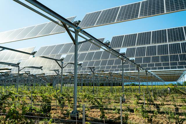 photovoltaique-et-agriculture-1 Panneaux photovoltaïques et agriculture : une combinaison gagnante