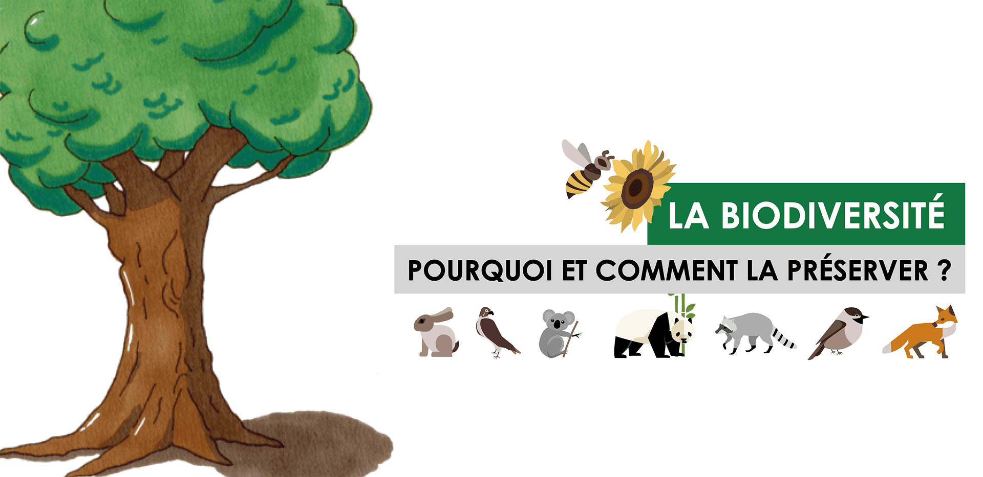 preserver-culture-et-nature Comment préserver la culture et la nature