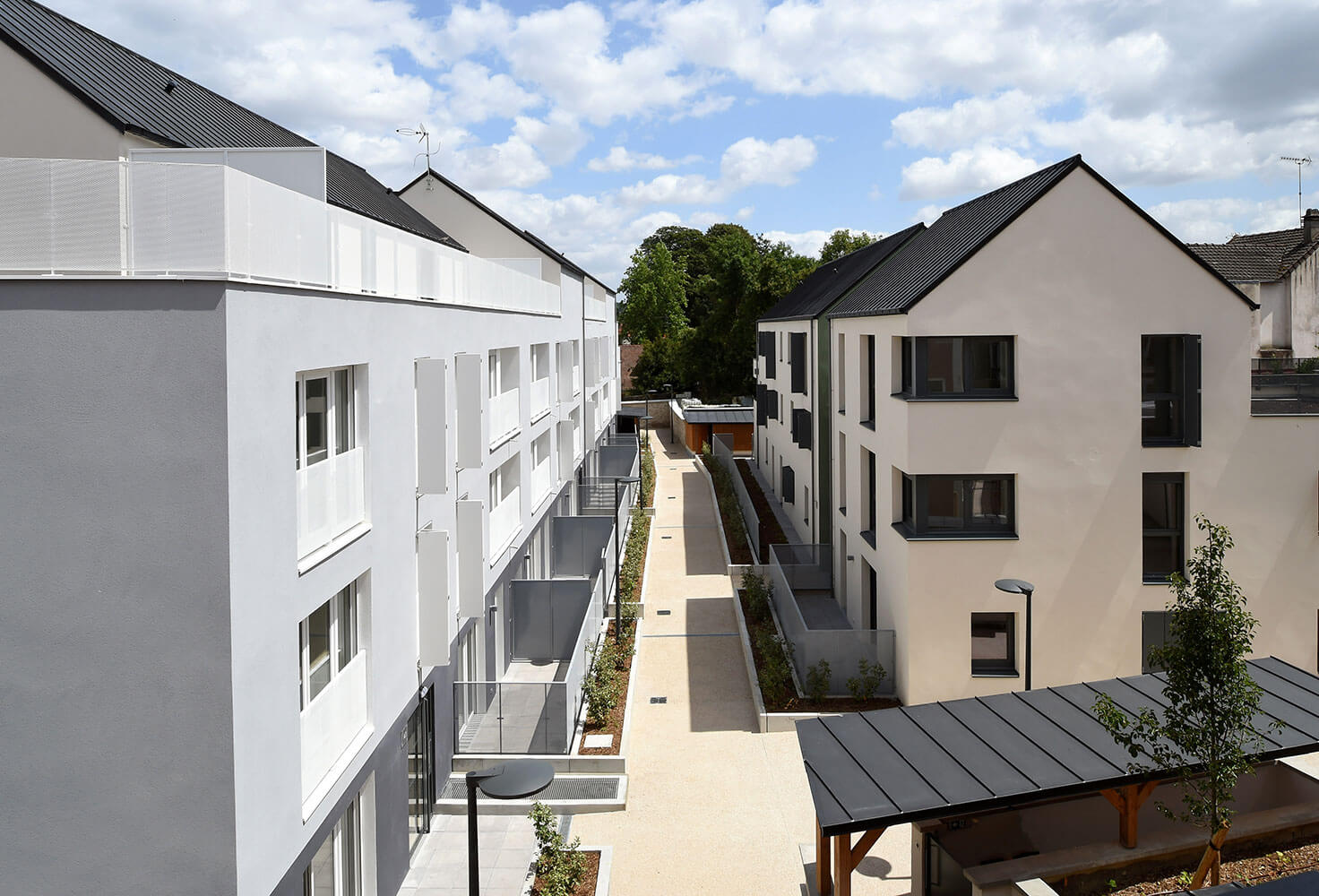 reconstitutions-habitats-1 L'importance des reconstitutions d'habitats naturels