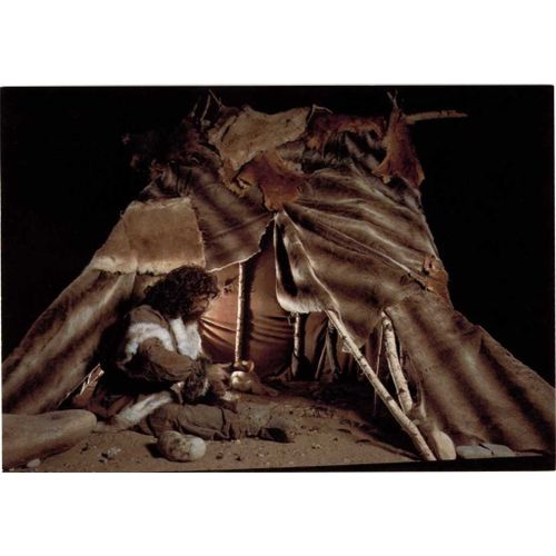 découvrez nos passionnantes reconstitutions d'habitats, qui vous plongent dans des environnements historiques et écologiques. explorez comment les différentes cultures et époques ont façonné leur habitat naturel, tout en mettant en lumière la biodiversité et les techniques de conservation.