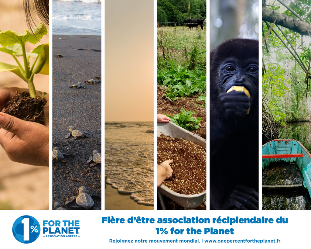 responsabilite-planet-1 La responsabilité de chacun face à la planète