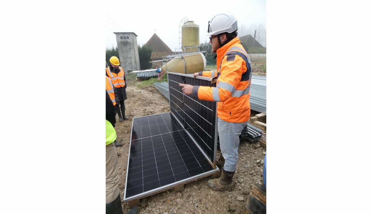 bussy-le-grand-habitat-innovant-pour-poules-sous-panneaux-solaires Bussy-le-Grand : sous ces panneaux solaires, les poules de Thibaut bénéficient d'un habitat inédit en Côte-d'Or