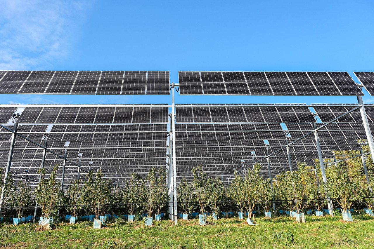 découvrez les raisons de la déception face aux panneaux solaires en bretagne et les défis spécifiques rencontrés dans cette région.