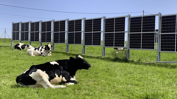 découvrez la révolution agrivoltaïque pour l'élevage : une solution innovante alliant production d'énergie solaire et bien-être animal pour un élevage durable et rentable.