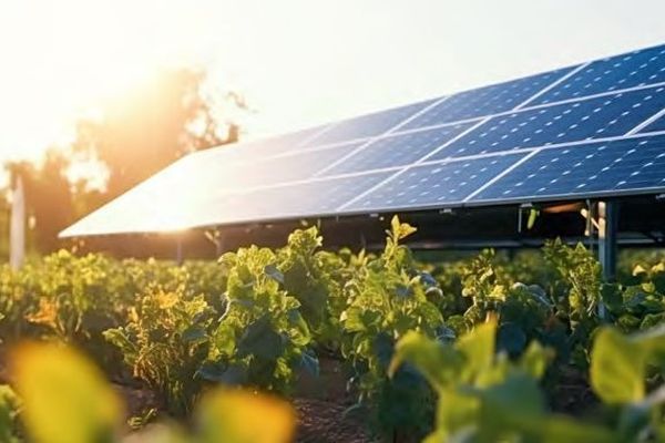 découvrez l'installation de 1000 panneaux solaires près de sarlat en dordogne, une avancée majeure pour l'énergie renouvelable locale et durable.