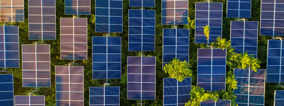 découvrez nos ombrières solaires innovantes spécialement conçues pour les vignobles du sud-ouest, alliant protection des vignes et production d'énergie renouvelable.