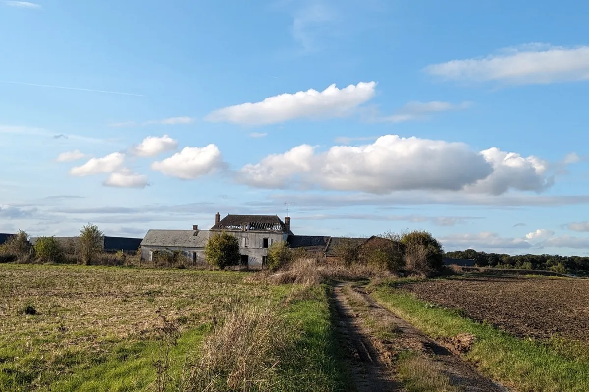 moutons-refuges-sous-panneaux-solaires-a-pirey À Pirey, des moutons trouvent refuge sous les panneaux solaires pour une énergie renouvelable durable